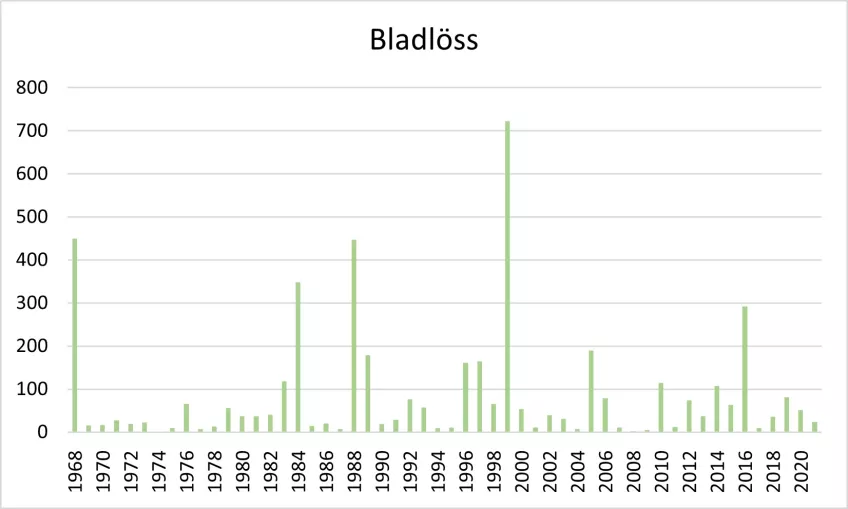 Antal bladlöss per tusen kortskott av björk. Diagram.