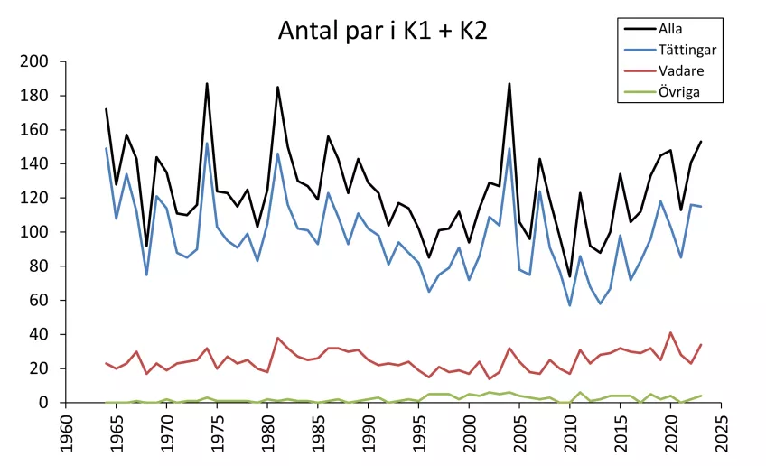 Antal par i undersökningsområdet