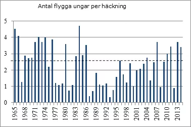 Graf över antal flygga ungar per häckning.